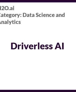 Driverless AI