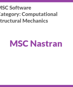 MSC Nastran