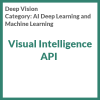Visual Intelligence API