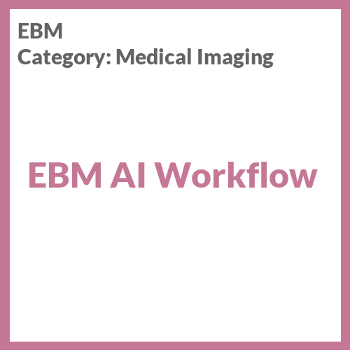EBM AI Workflow