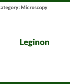 Leginon