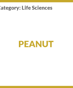 PEANUT