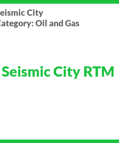 Seismic City RTM
